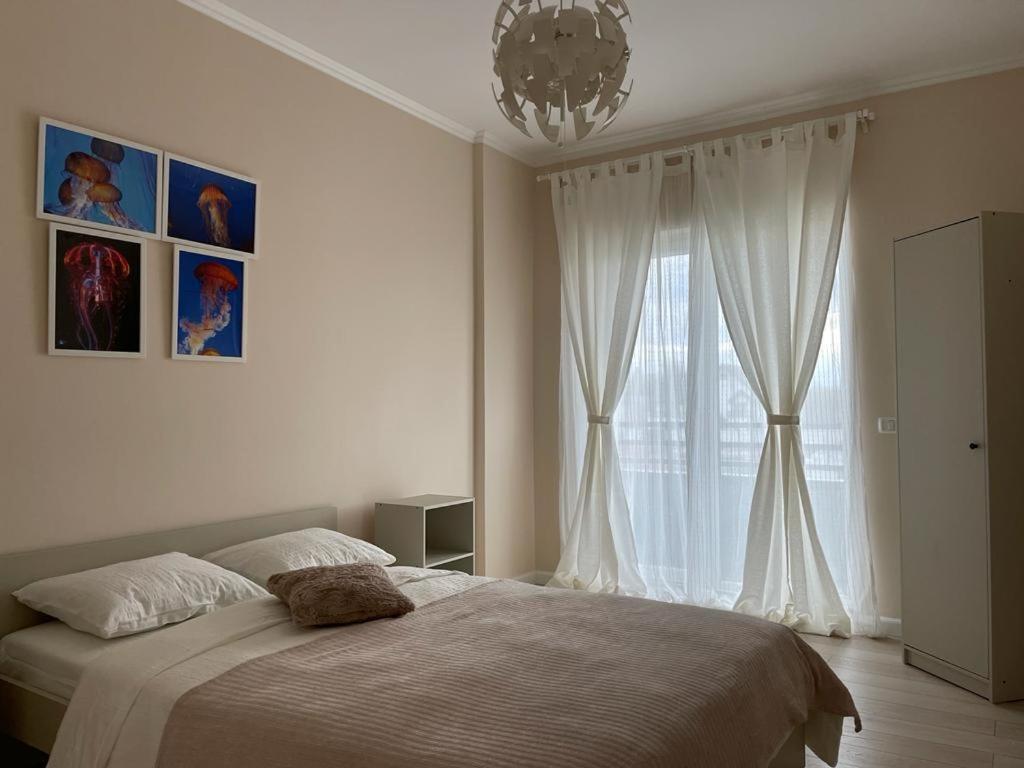 Beautiful Colors Residence Villa Otopeni Exteriér fotografie